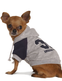 American Pup Sweatshirt - Navy