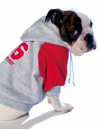 American Pup Sweatshirt - Red