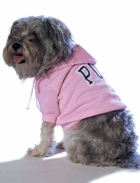 American Pup Sweatshirt - Pink