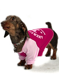 American Pup Tee Shirt - Fuchsia/Small