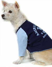 American Pup Tee Shirt - Navy