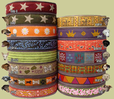 Earthdog Patterned Collars