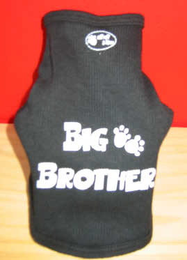 Big Brother T-shirt - Large