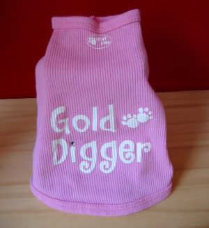 Gold Digger T-shirt