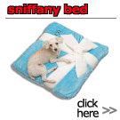 New Product - Sniffany Bed
