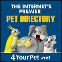 List Your Pet Product / Service in the 4YourPet Directory!
