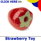 Best Seller - Planet Dog Orbee Tuff Strawberry Toy
