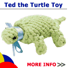 New Item... Ted the Turtle Toy
